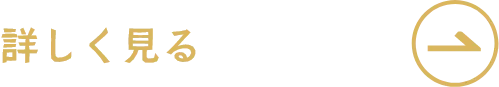詳しく見る