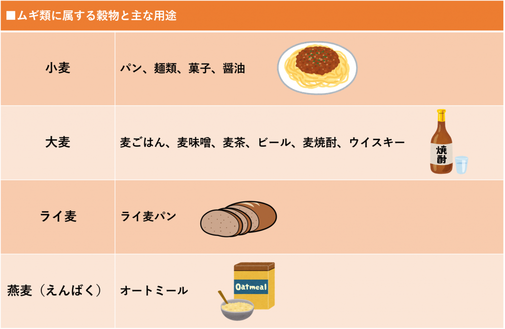 ムギ類に属する穀物と主な用途