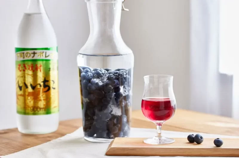 【ブルーベリー酒】１週間で完成！ 甘酸っぱさがギュッと詰まったブルーベリー酒の作り方