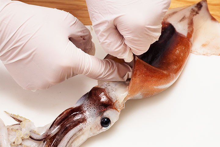 イカの胴体の中に指を入れ、身と肝をつないでいる膜をはがします。