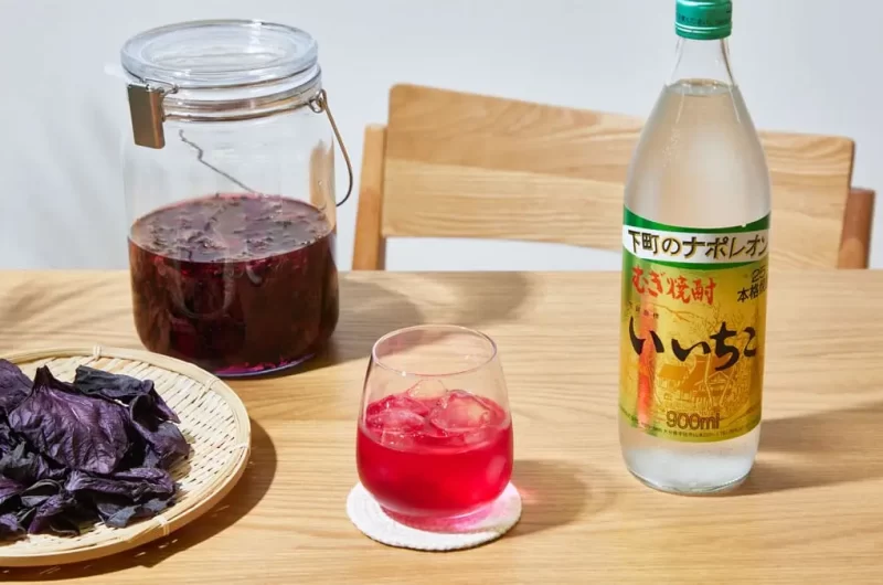 【赤紫蘇酒】香り爽やか！ さっぱりおいしい赤紫蘇の漬け込み酒