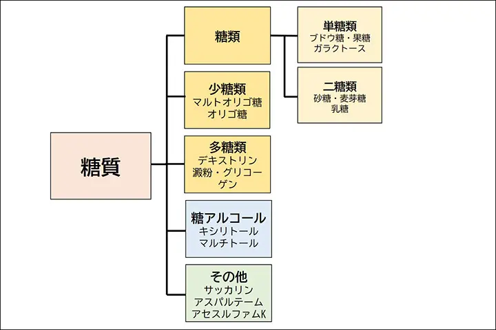 糖質の分類