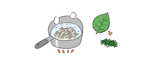 熱湯でもやしを30秒ほどゆでる。青じそは千切りにする。