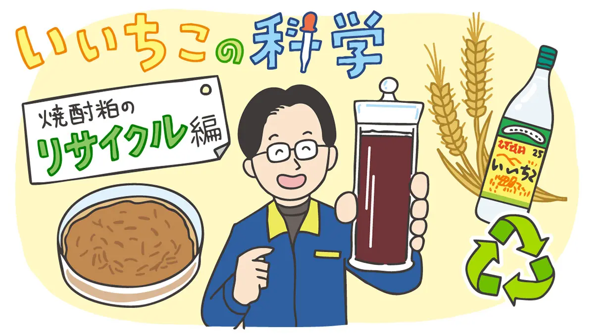 【焼酎粕のリサイクル】担当者が研究視点で解説！資源を有効利用したサスティナブルな焼酎づくり〈いいちこの科学⑥〉