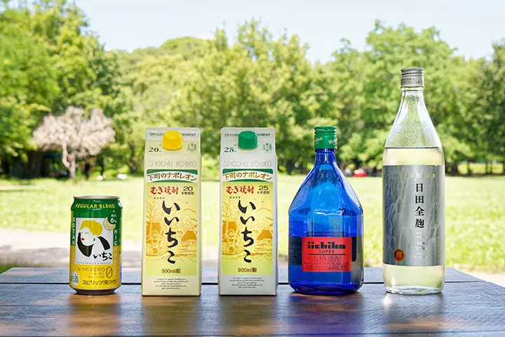 左から、「いいちこ下町のハイボール REGULAR BLEND」「いいちこ20度」「いいちこ25度」「いいちこスーパー」「いいちこ日田全麹」
