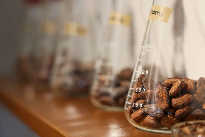 カカオ研究所では、産地によるカカオ豆の香りの違いを体験できる