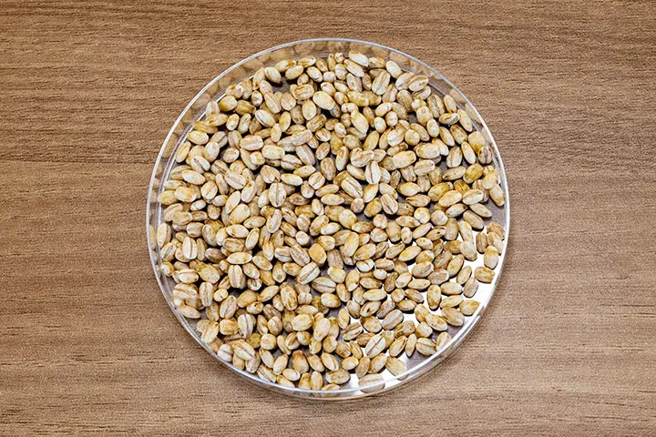 大麦麹（撮影・三井公一）