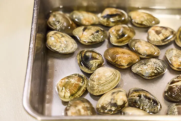 あさりの頭が出るくらいまで塩水を注いだ様子