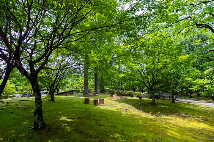 いいちこ日田蒸留所の風景